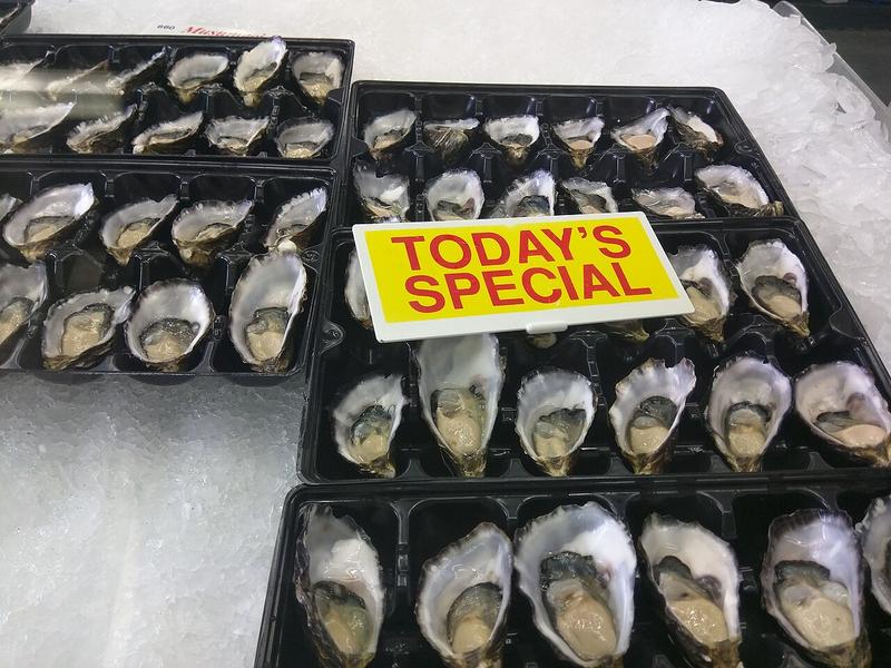 Rows of freshly shucked oysters in trays at Sydney Fish Market
