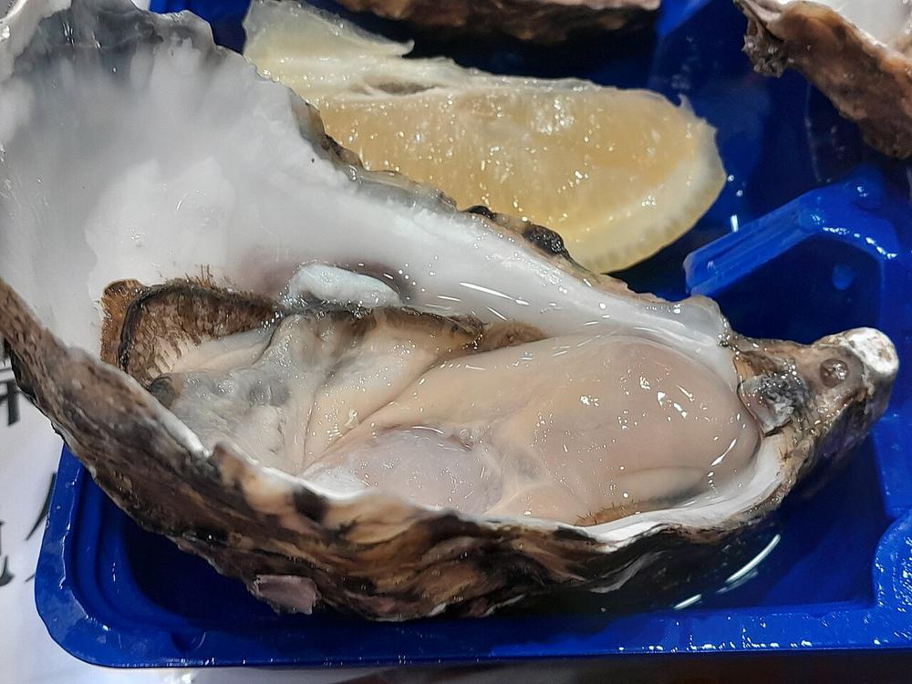 A large freshly shucked Pacific oyster from the Clyde River, NSW, on a blue tray with a wedge of lemon